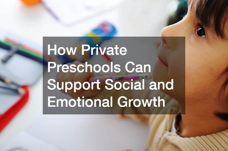 How Private Preschools Can Support Social and Emotional Growth